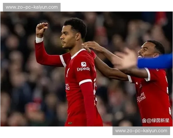 非洲杯用户增长：把握绿茵盛会的流量与留存密码